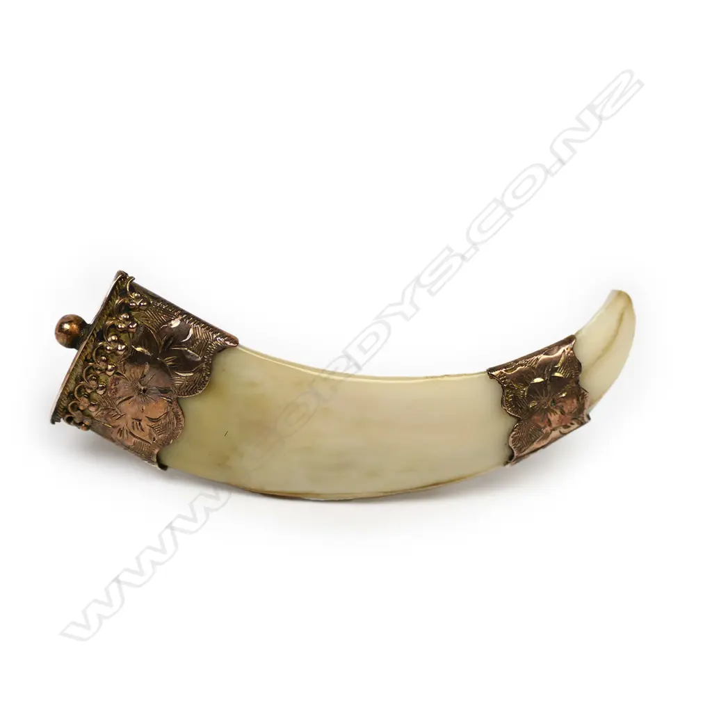 Alexander Petrie Buick (Dunedin and Westport) gold mounted small tusk brooch, Image 1++